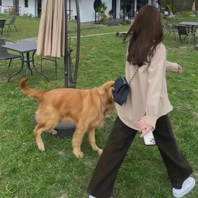 玉屏风